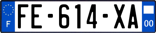 FE-614-XA