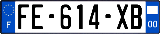 FE-614-XB