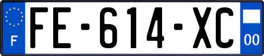 FE-614-XC