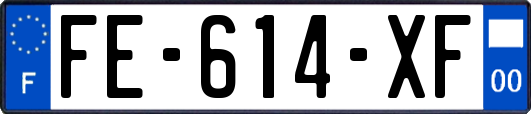 FE-614-XF