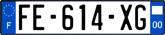 FE-614-XG