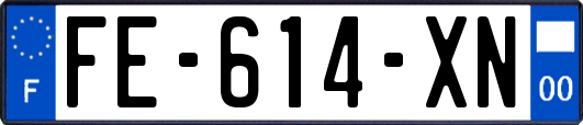 FE-614-XN