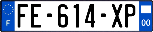 FE-614-XP
