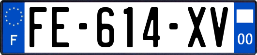 FE-614-XV