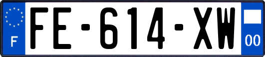 FE-614-XW