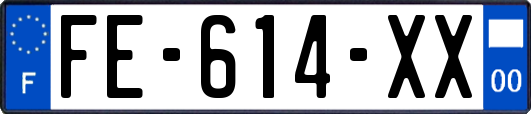 FE-614-XX