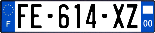 FE-614-XZ