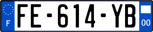 FE-614-YB