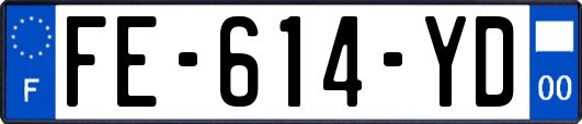 FE-614-YD