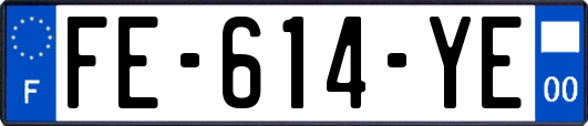 FE-614-YE