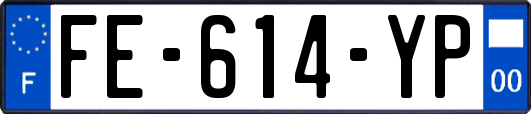 FE-614-YP