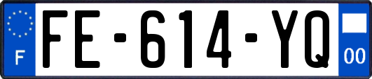 FE-614-YQ