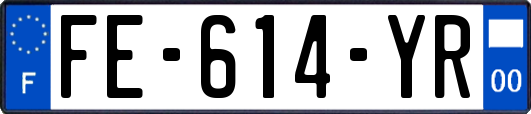 FE-614-YR
