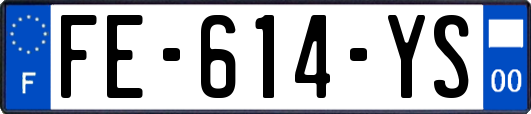 FE-614-YS