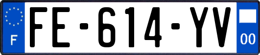 FE-614-YV