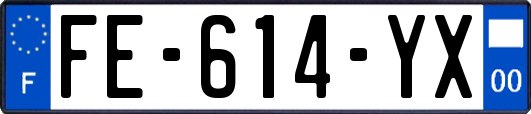 FE-614-YX