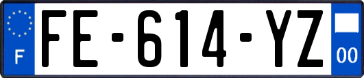 FE-614-YZ