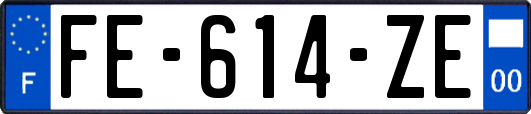 FE-614-ZE