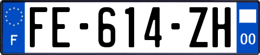 FE-614-ZH