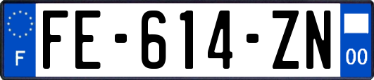 FE-614-ZN