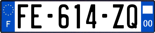 FE-614-ZQ