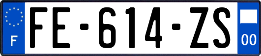 FE-614-ZS