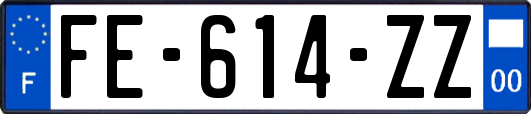 FE-614-ZZ