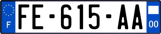 FE-615-AA