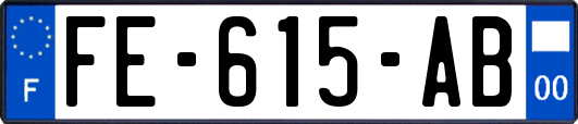 FE-615-AB