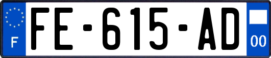 FE-615-AD