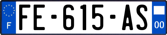 FE-615-AS