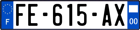 FE-615-AX