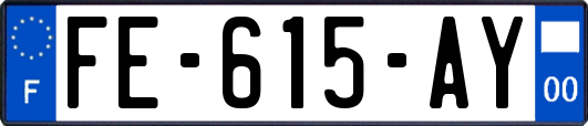 FE-615-AY