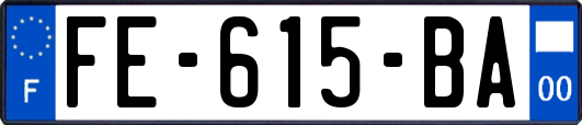 FE-615-BA