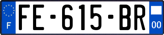 FE-615-BR