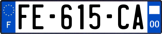 FE-615-CA