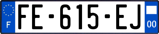 FE-615-EJ