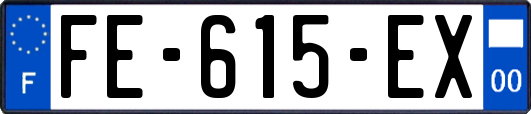 FE-615-EX
