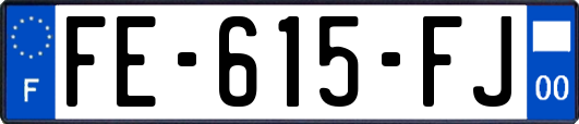 FE-615-FJ