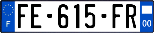 FE-615-FR