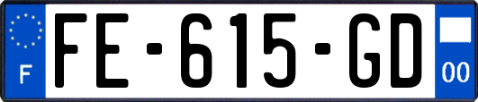 FE-615-GD