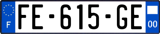 FE-615-GE