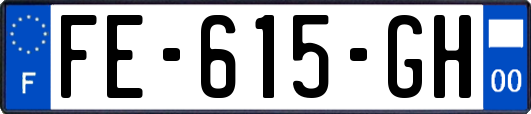 FE-615-GH