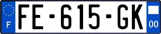 FE-615-GK