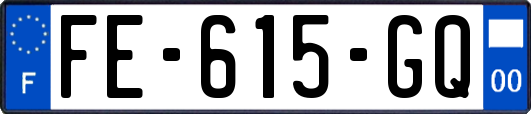 FE-615-GQ