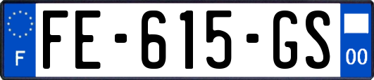FE-615-GS