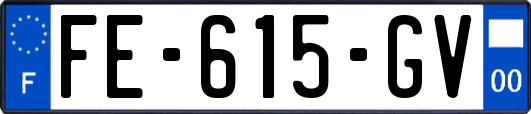 FE-615-GV