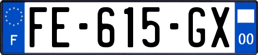 FE-615-GX