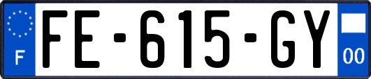 FE-615-GY