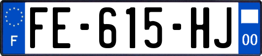 FE-615-HJ